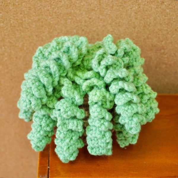 The Plants Crochet Bundle - Image 4